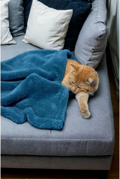 Paw Wellsoft Kedi Köpek Battaniyesi Pati Desenli 70X70 Cm Petrol Mavisi 70 x 70   PETROL MAVİSİ